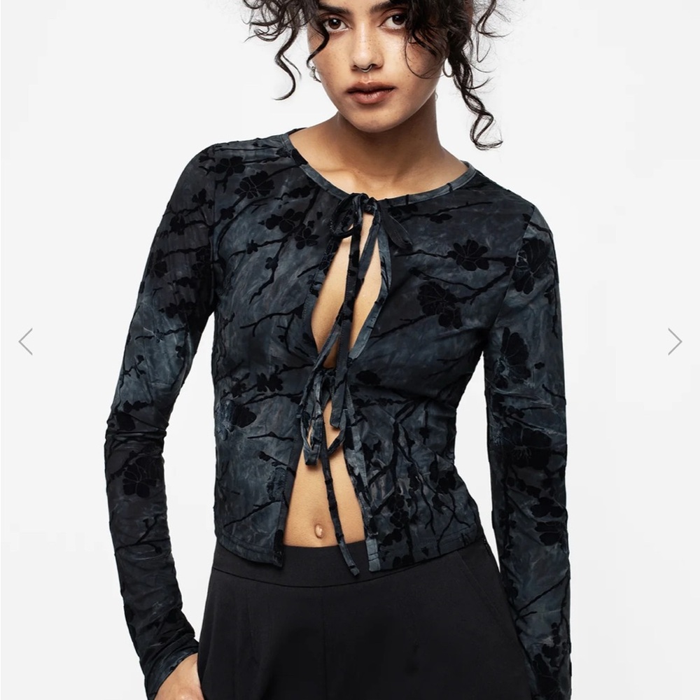 Disturbia Wytchelm Tie Front Crop Top